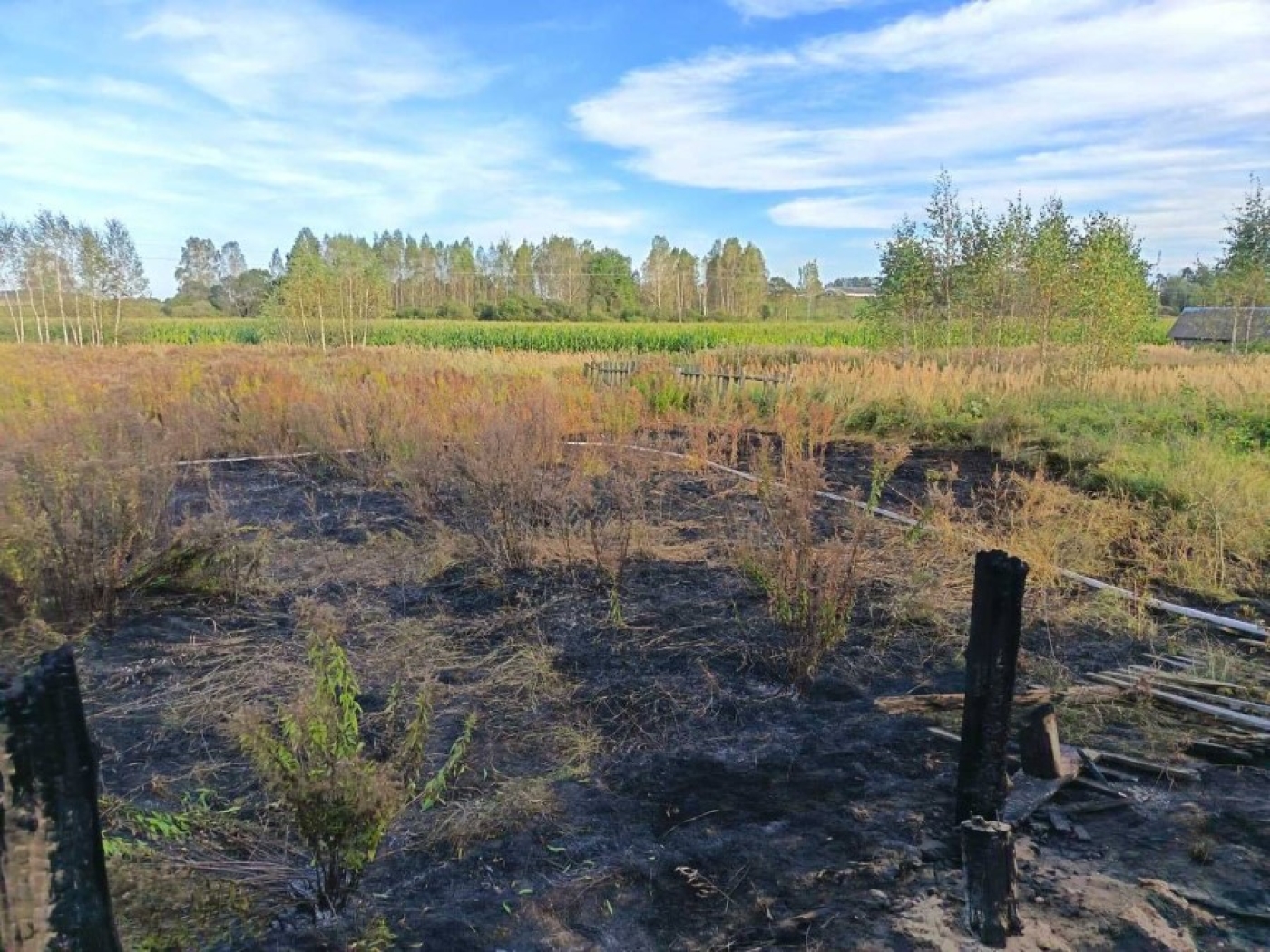 Два пожара сухой растительности. Виновные лица устанавливаются