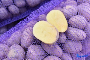 Какую картошку лучше не есть, даже если выбрасывать жалко: совет эколога