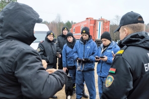 Похищен, попал в ДТП. Какие еще версии отрабатывают при поиске Максима в Березинском районе