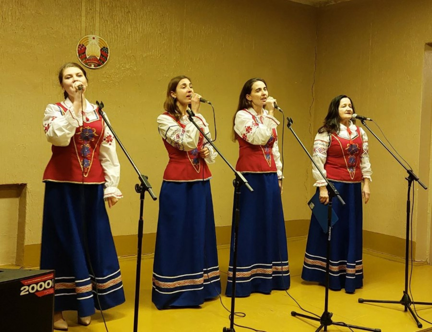 Концерт в Дмитровичах по случаю 85-летия Минской области