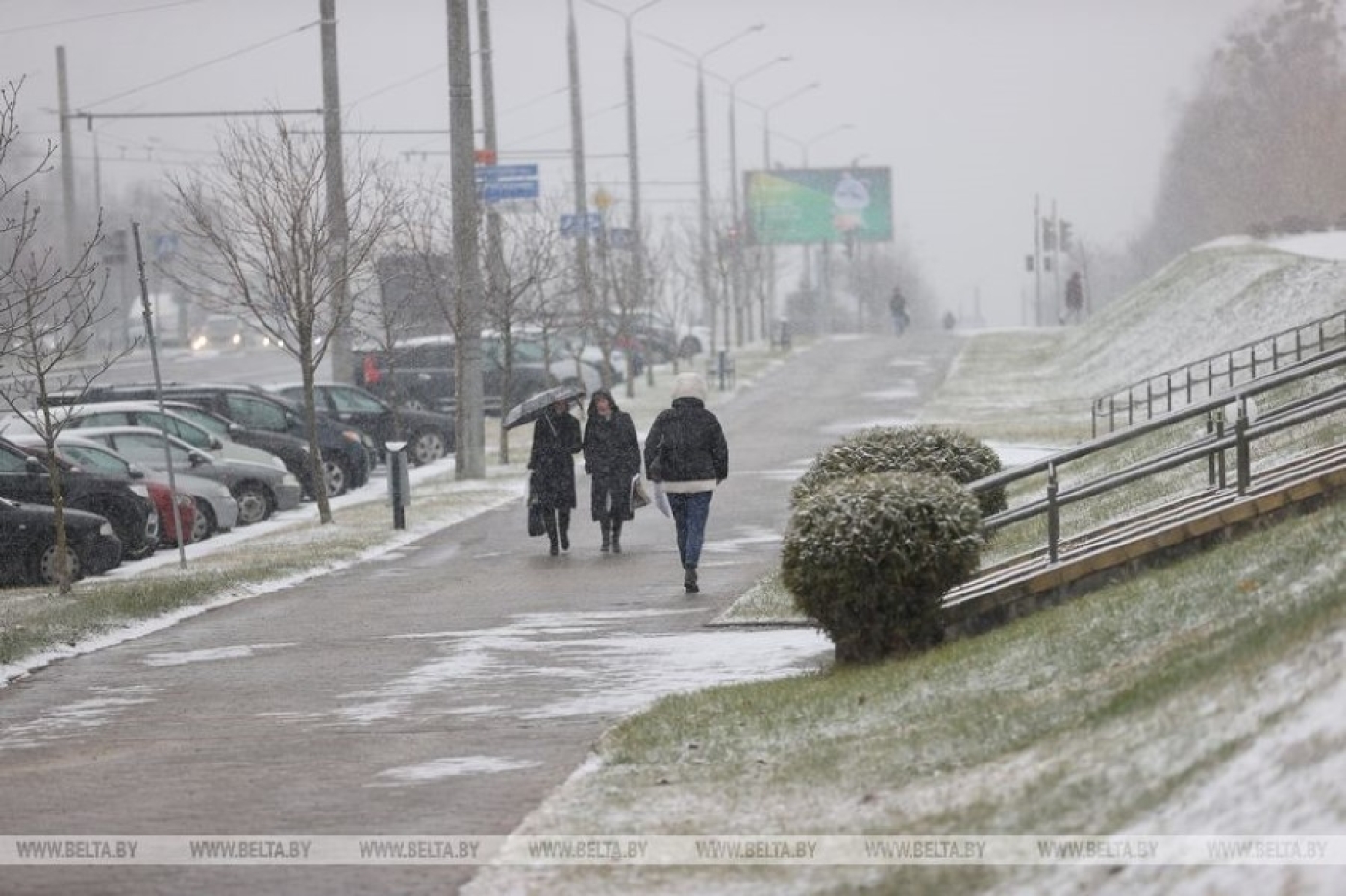 Мокрый снег и «каля нуля» ожидаются 22 и 23 ноября. А какую зиму обещают белорусам?
