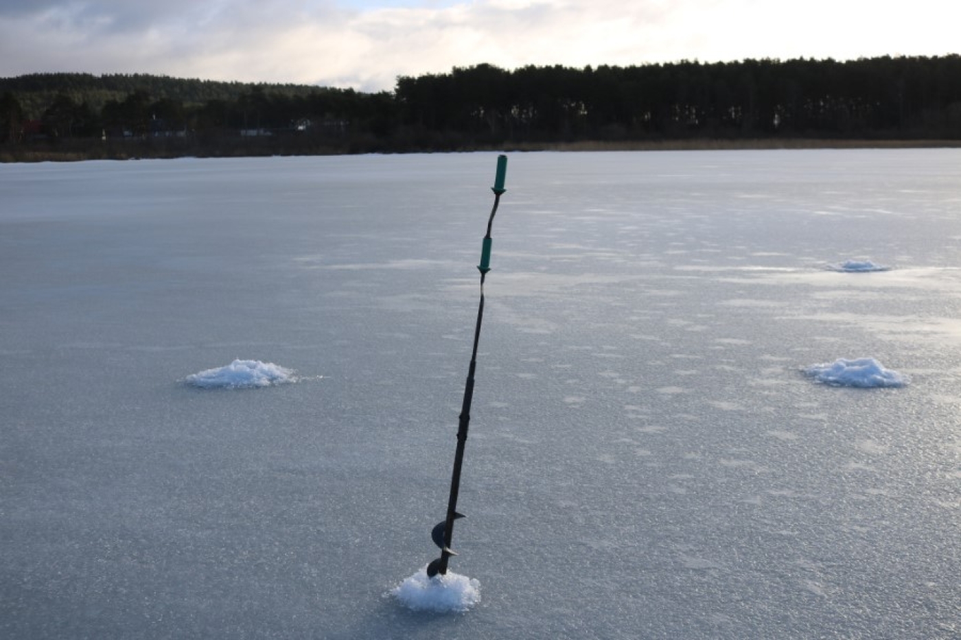 Заморы, рыбе нужна наша помощь