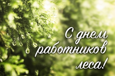 Уважаемые работники Березинского лесхоза, ветераны производства и представители лесоперерабатывающих предприятий района!