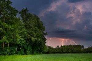 Погода 11 августа: оранжевый уровень опасности из-за гроз, ливней и усиления ветра, днем от +19 °С до +25 °С