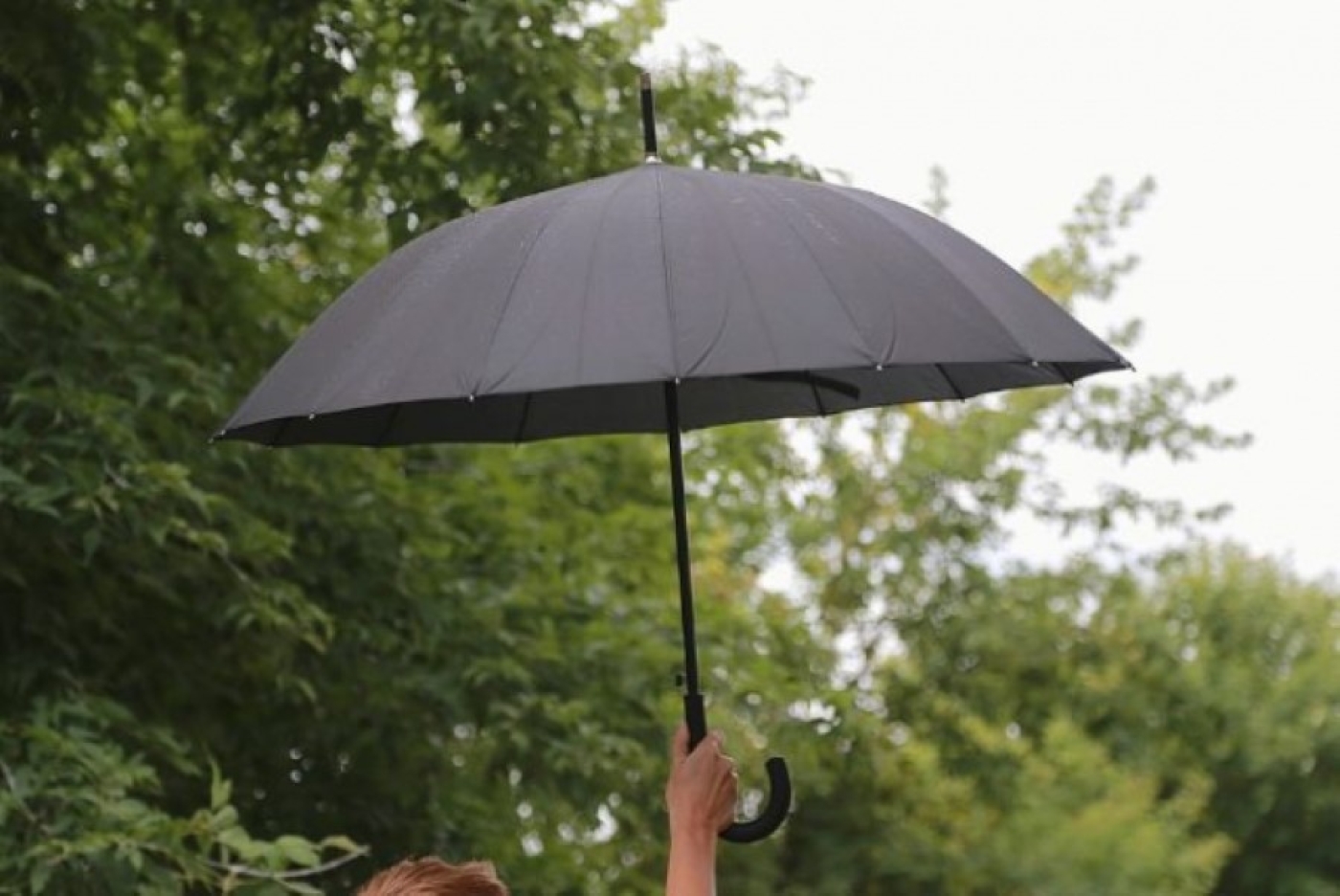 Погода в Беларуси 5 августа: кратковременные дожди, грозы и до +28 °С