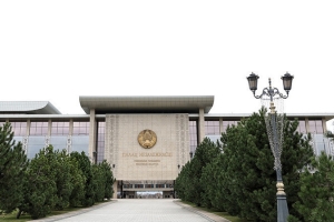 Законотворчество, работа с гражданами и местными советами. Лукашенко принял с докладом Кочанову