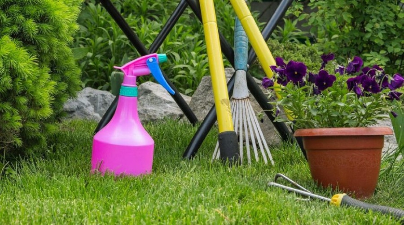 Лунный календарь садовода и огородника на июнь: к каким работам готовиться