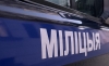 Лису с признаками бешенства обезвредили милиционеры в Брагине