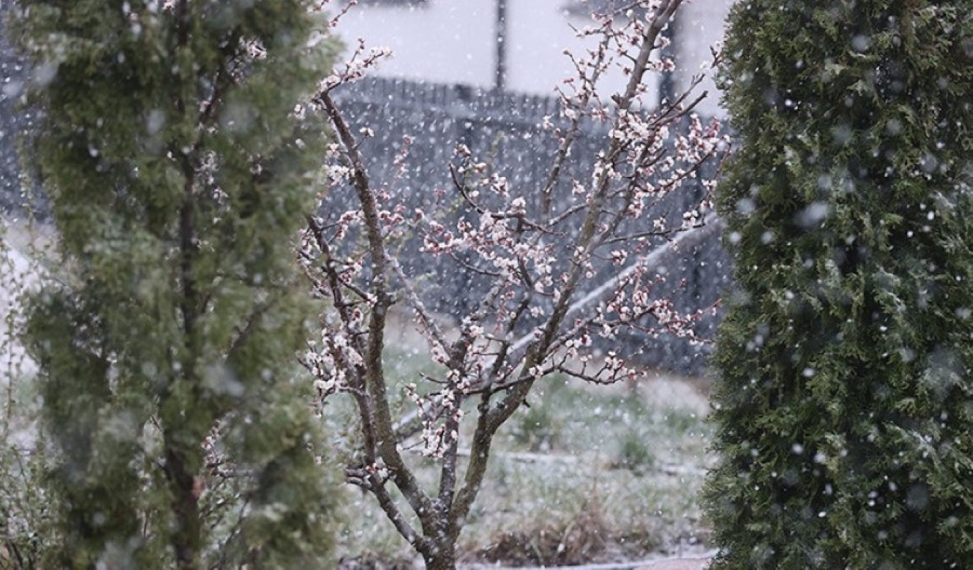 Зима не отступает. В Беларуси - апрельские снегопады