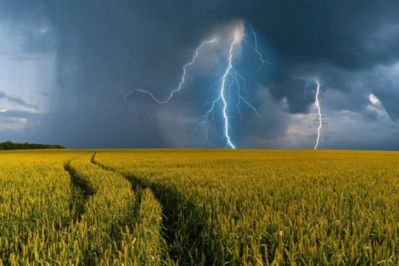 Погода 10 сентября: грозы, усиление ветра и до +28 °С