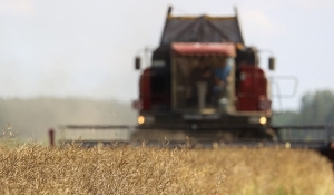 Рациональные подходы и максимальное стимулирование. В Минской области разработали стратегию нынешней жатвы