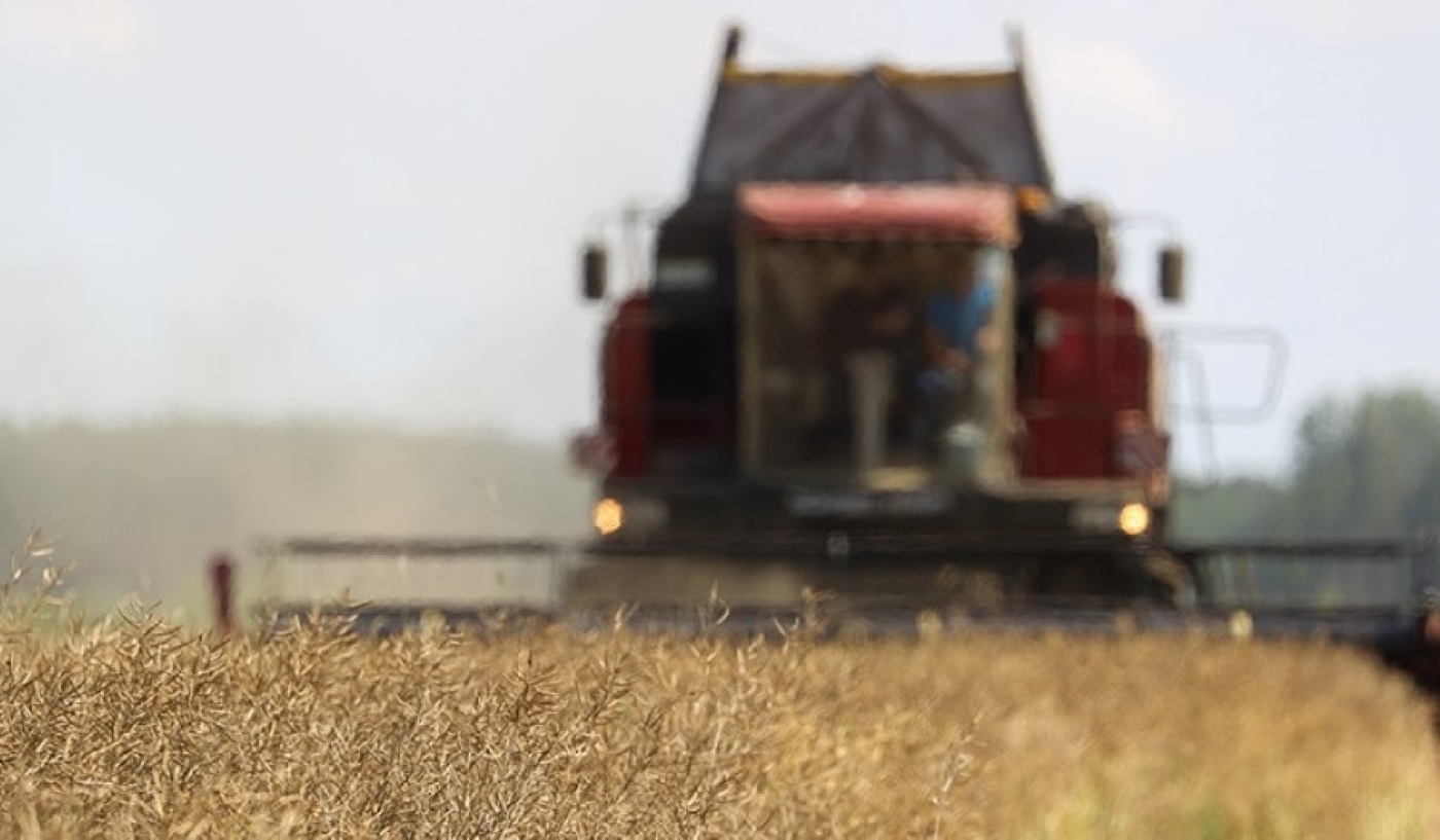 Рациональные подходы и максимальное стимулирование. В Минской области разработали стратегию нынешней жатвы