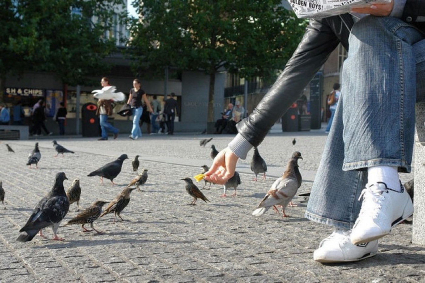 Белорусам грозит большой штраф за «доброе дело»: за что и какова сумма
