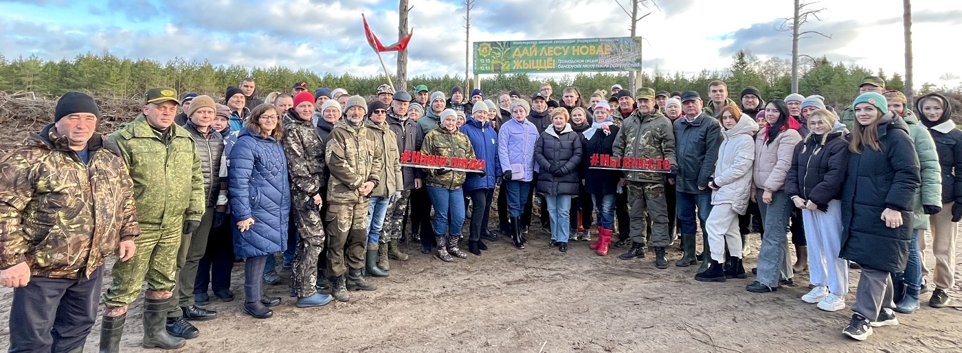 К республиканской акции «Дай лесу новае жыццё» присоединились депутатский корпус и Молодёжный парламент