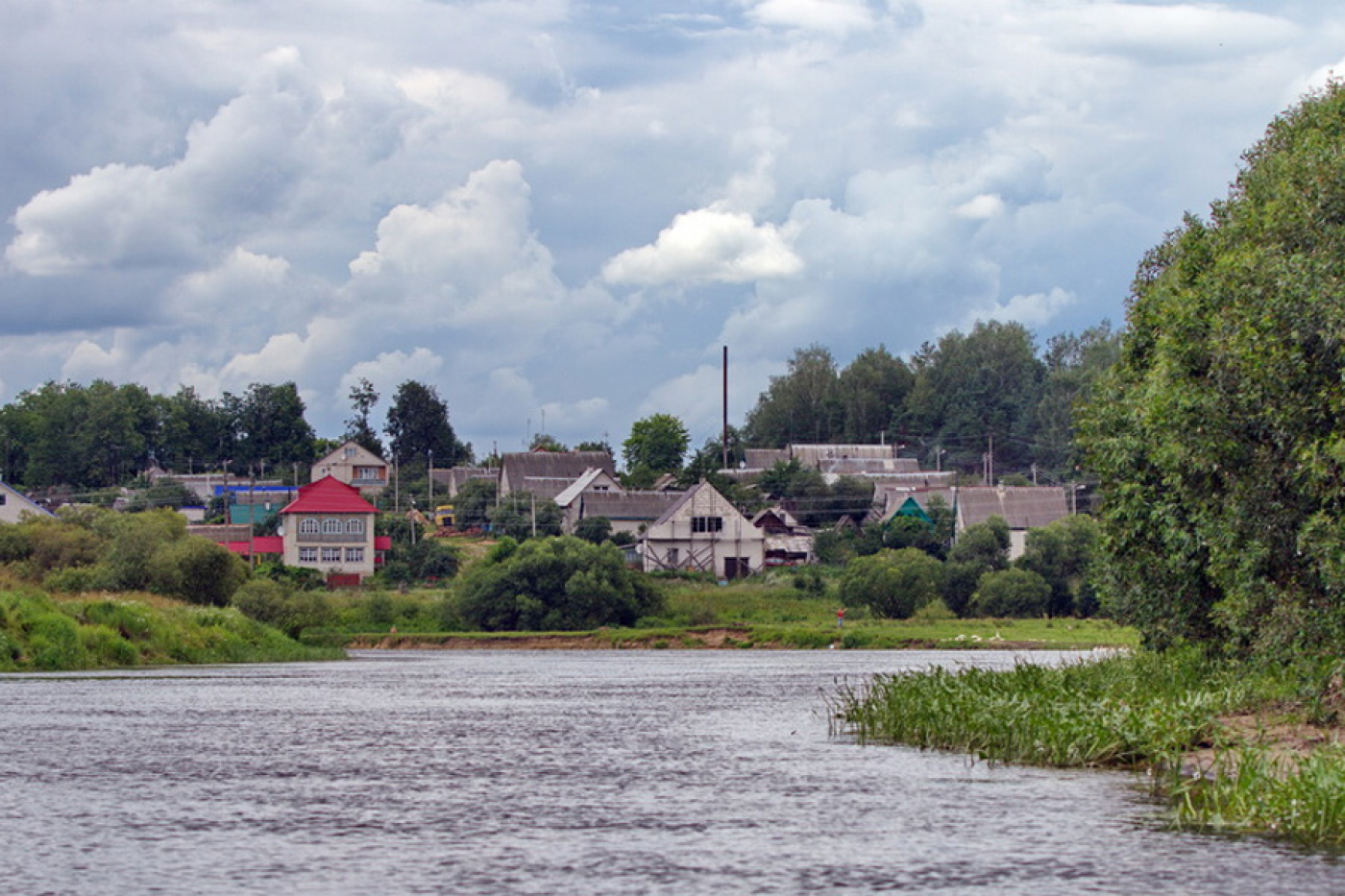 Почему на пляже бурьян?