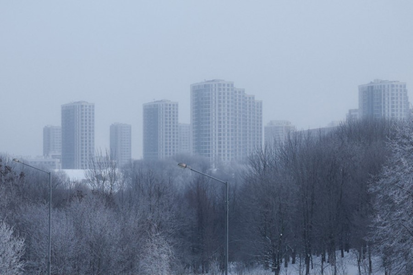 На дорогах гололедица, местами туман. Синоптики о погоде на сегодня