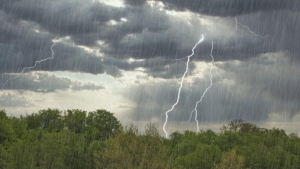 Погода 19 мая: ночные заморозки, дожди, грозы и до +19 °С днем