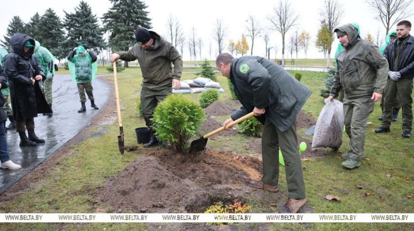 Экоакции, посадка деревьев и работа у мест памяти. В Минской области субботник объединил более 330 тыс. человек