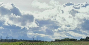 В Беларуси снижаются выбросы загрязняющих веществ в воздух