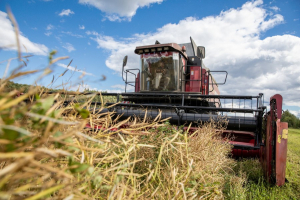 Лидеры жатвы-2023