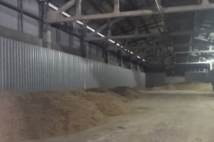 Работники нескольких крупных хозяйств Минской области похитили рапса на более чем 1,5 млн рублей