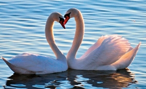 Погода 21 июля: кратковременные дожди и до +28 °С