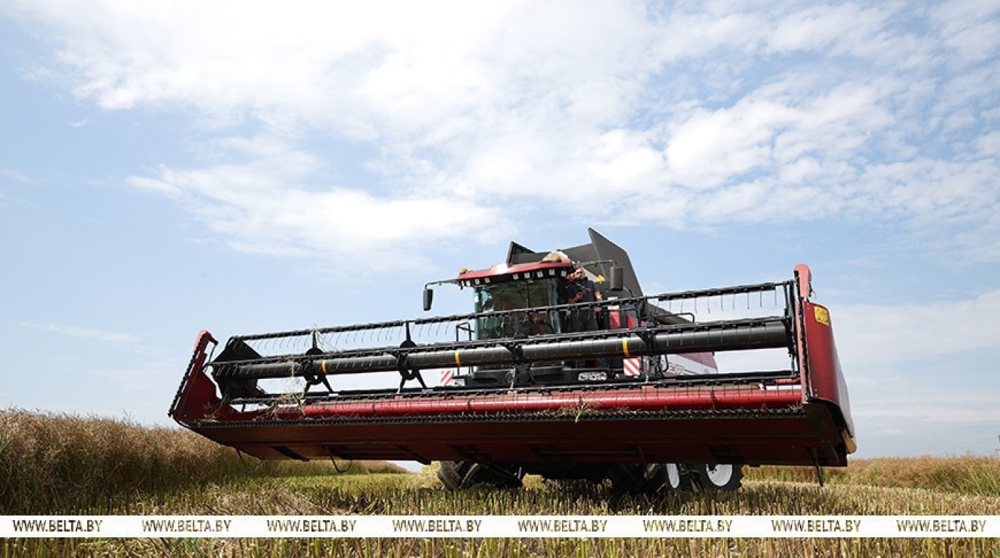 "Крестьяне - молодцы в этом году". Лукашенко высоко оценил работу аграриев во время уборочной