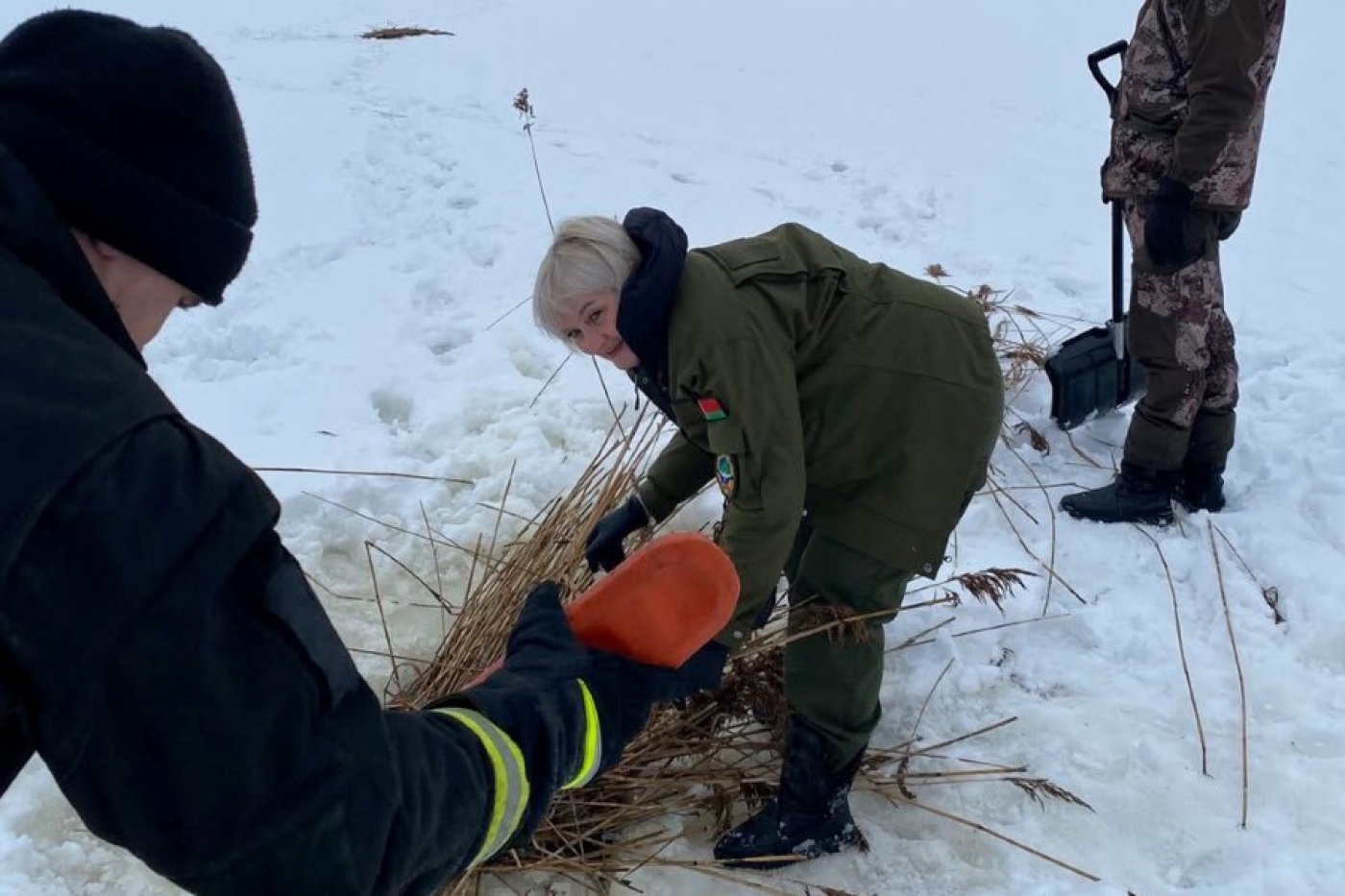 В Березинском районе продолжается работа по предотвращению гибели рыбы в зимний период.