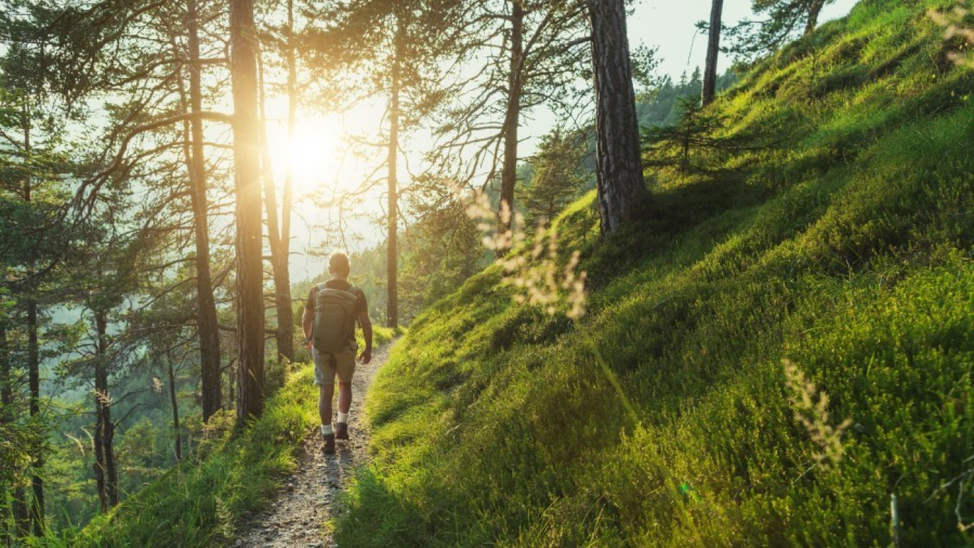 Соблюдайте правила во время пребывания в лесах