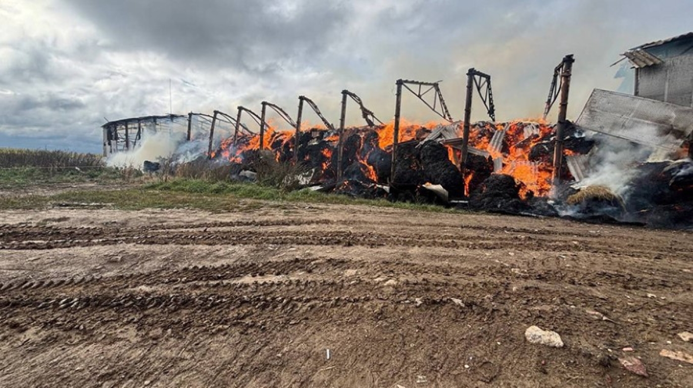 На сеноскладе в Горках огонь уничтожил все заготовки
