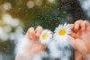 Погода в Беларуси в выходные: грозы, кратковременные дожди и до +25 °С