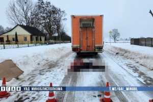 В Несвижском районе погиб пешеход