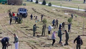 Белстат: более Br18,5 млн заработано на республиканском субботнике