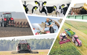 Сохранить деревню