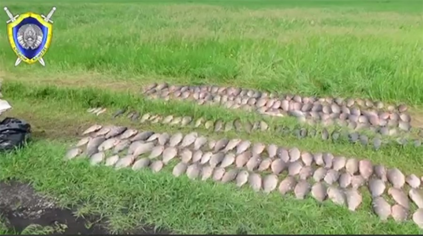 В Солигорском районе браконьеры "порыбачили" почти на Br18 тыс., возбуждено уголовное дело