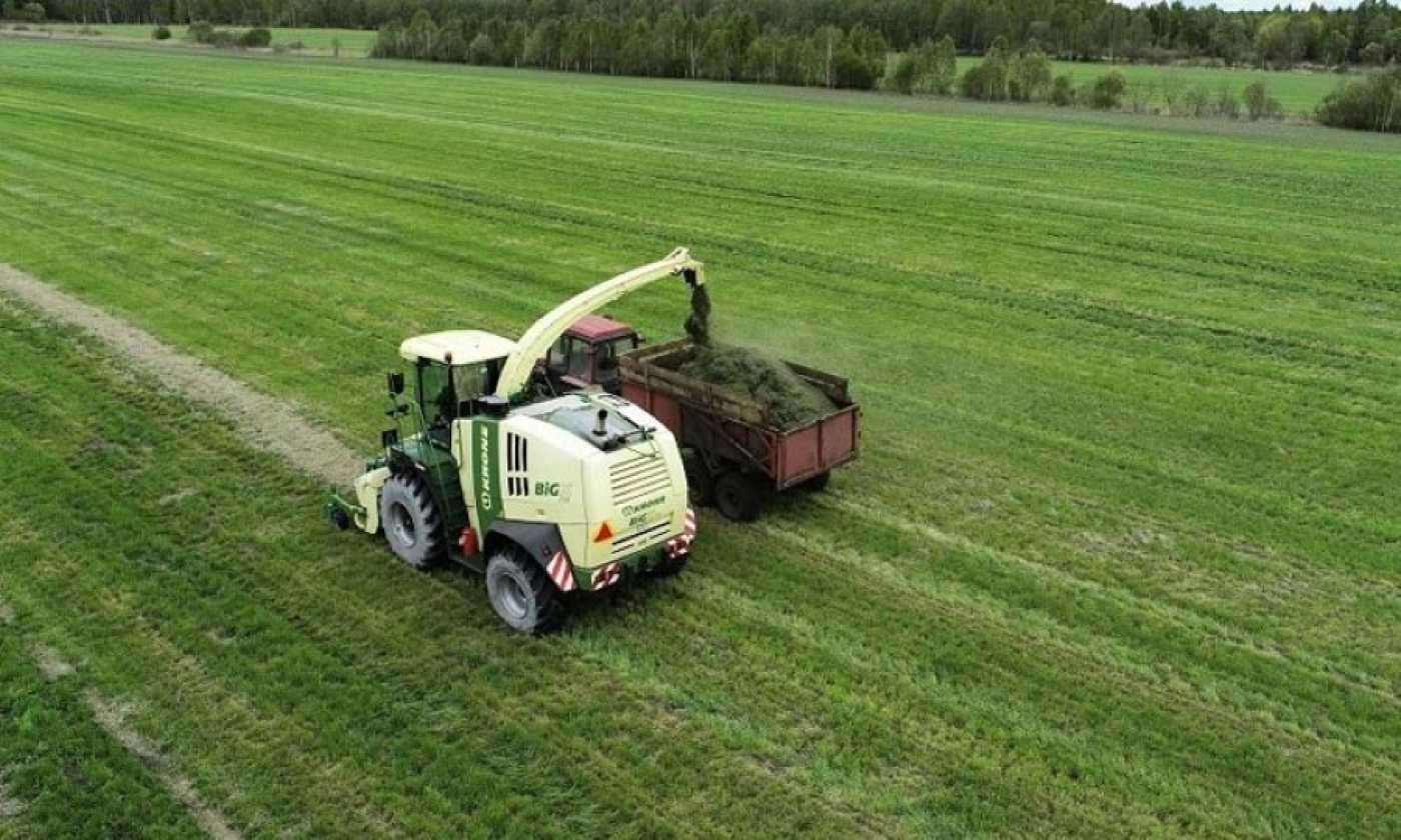 В Беларуси травы первого укоса скошены почти на 64% площадей