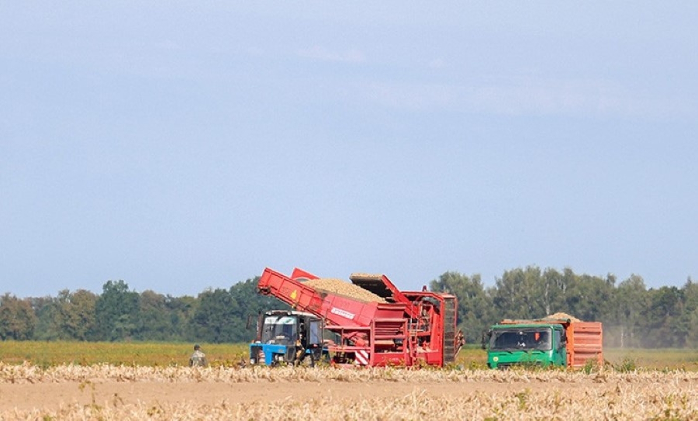 Лукашенко потребовал усилить культуру земледелия