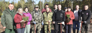 Коллектив Березинского райисполкома работает на посадке леса на субботнике