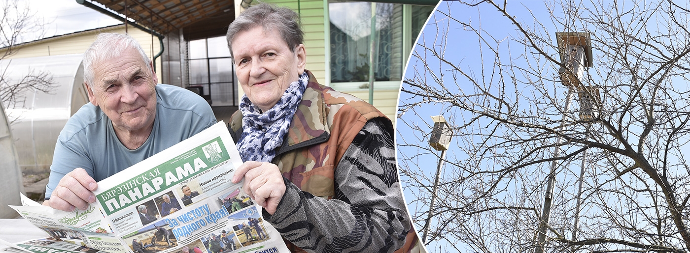 Дом, где поют скворцы