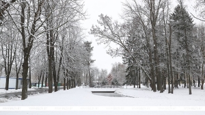 Настоящая зима пришла в Беларусь