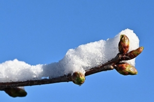 Народные приметы на Масленицу: во что верили наши предки
