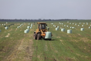 Более 2 млн тонн сенажа заготовлено в Минской области