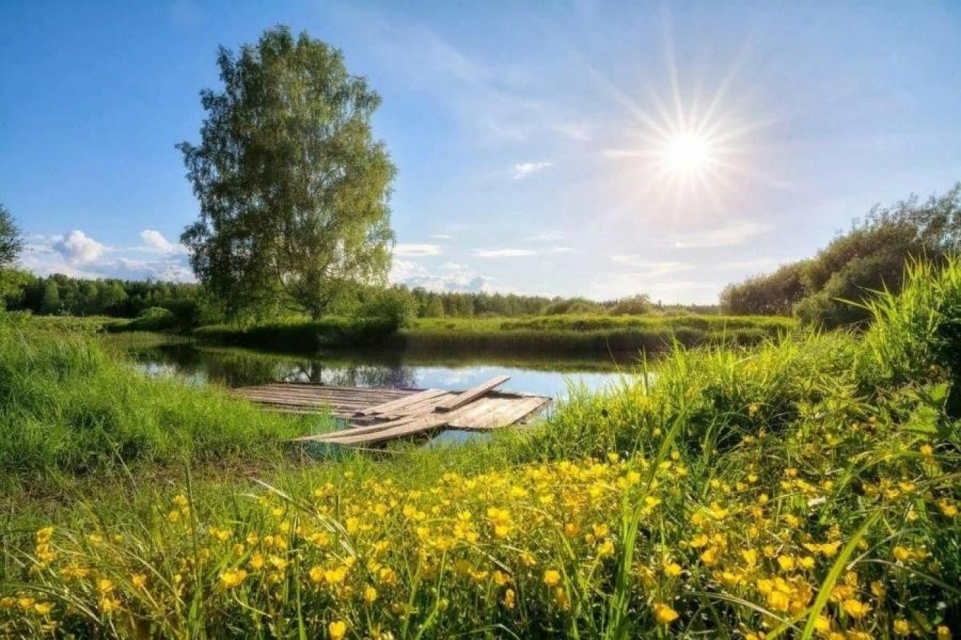 Народный календарь на 8 июля 2025 года: что можно и нельзя делать, приметы и праздники