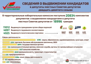 О выдвижении в местные Советы депутатов двадцать девятого созыва