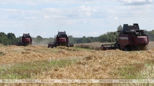 В Минской области началась переброска комбайнов для оказания помощи на жатве