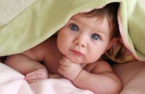 Информация отдела ЗАГС