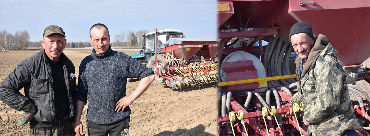 На полях ОАО «Погостский» кипит работа