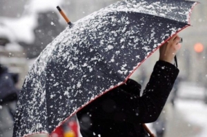 Погода в выходные: местами туман, небольшие дожди и до +5 °С