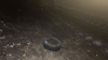 Подросток из Жодино бросил автопокрышку на рельсы перед товарным поездом, возбуждено уголовное дело