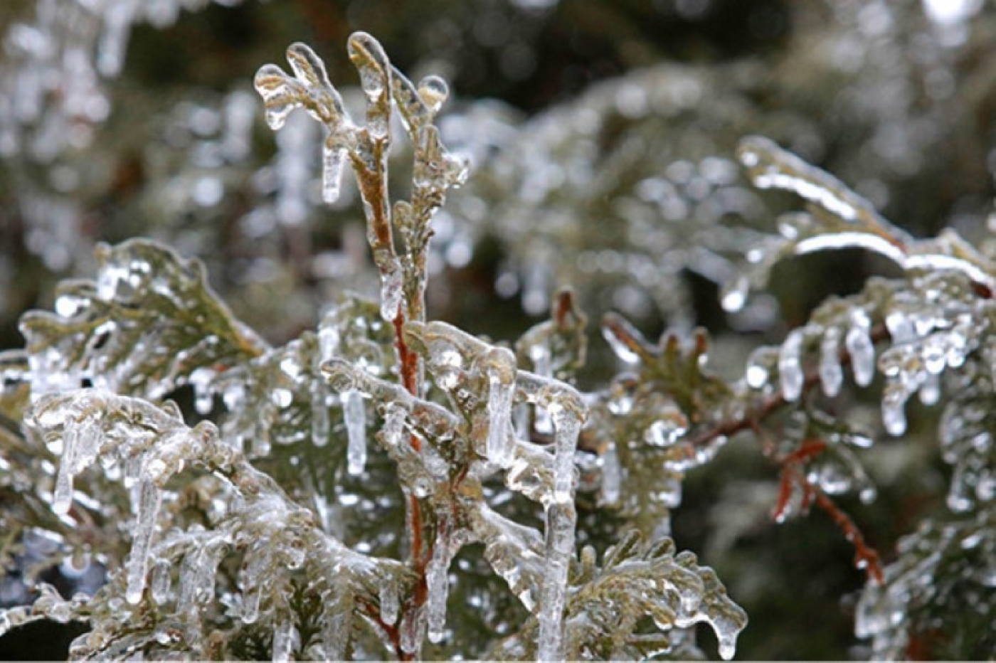 О факторах опасности при гололедице напомнили в МЧС